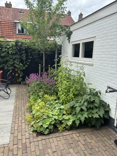 Jonge bomen geplant bij een terras met bloeiende border