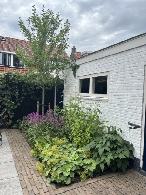 Onderhouden voortuin met bomen bij een woning in IJsselmuiden