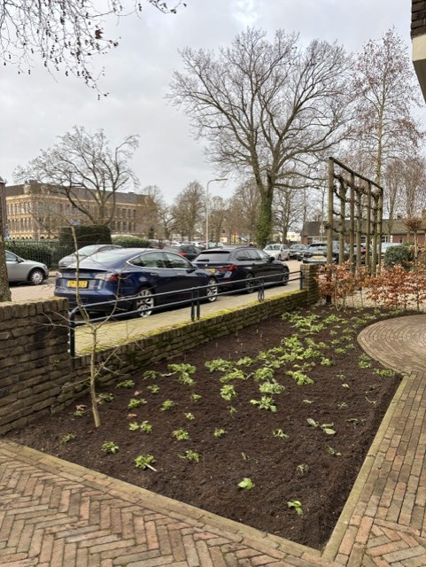 Aanleg van een pergola bij een tuinproject in de straat