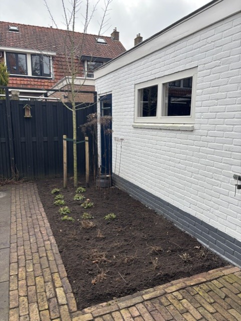 Nieuw aangelegde border met jonge beplanting langs een woning